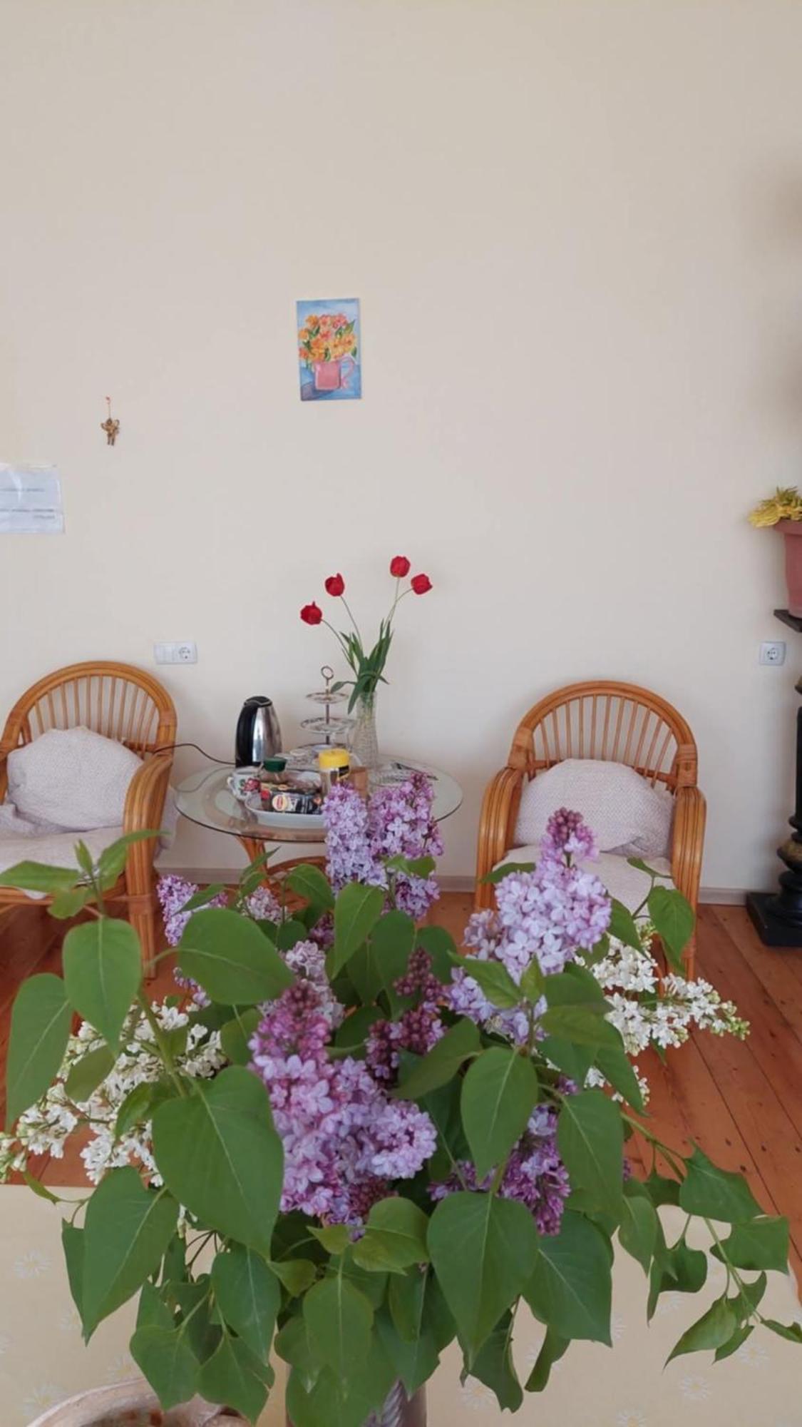 Guesthouse "Door" In Sighnaghi Exterior foto